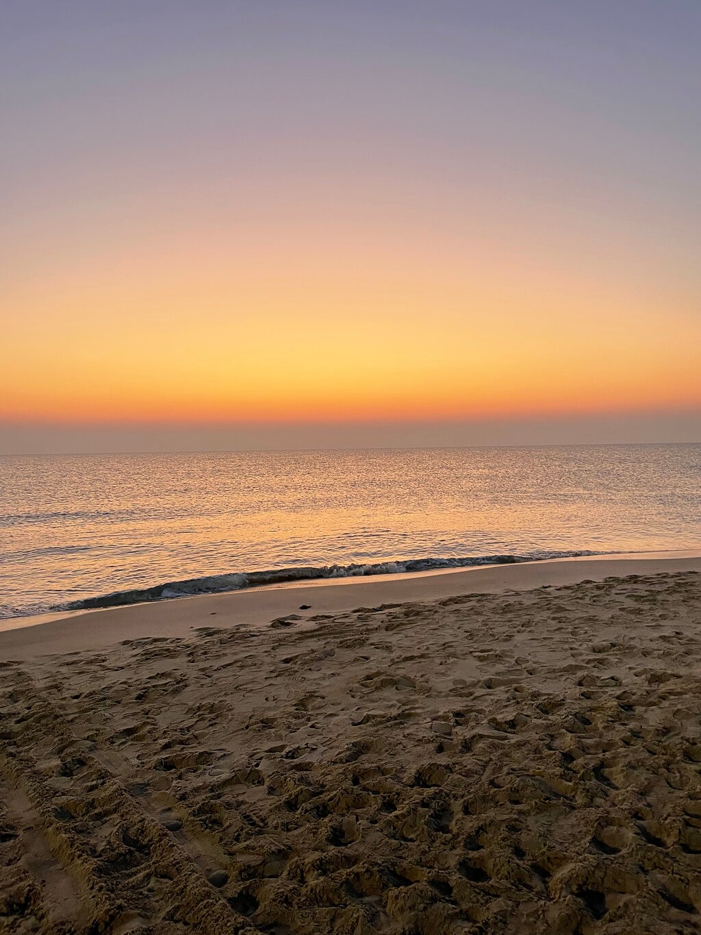 Doha: Full - Day Desert Safari with Dune Bashing and Lunch or Dinner