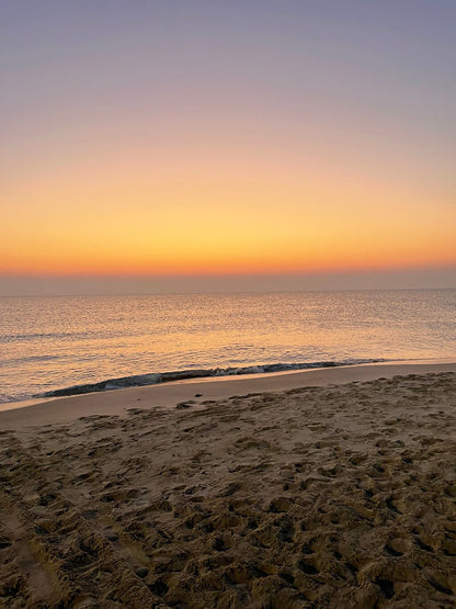 Doha: Full - Day Desert Safari with Dune Bashing and Lunch or Dinner