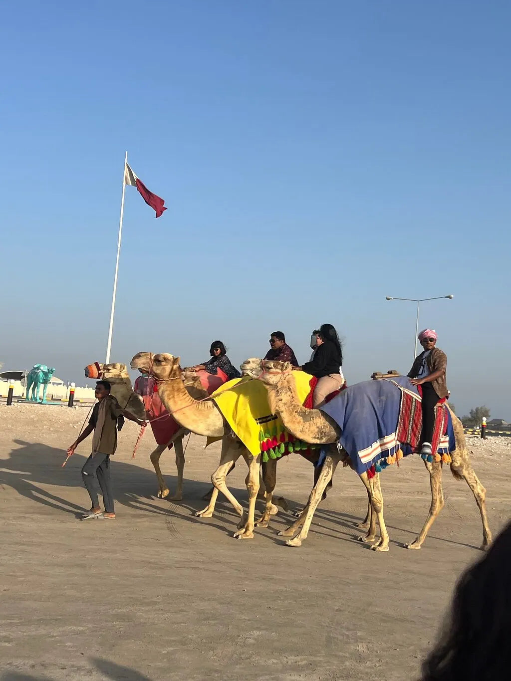 Doha: Full - Day Desert Safari with Dune Bashing and Lunch or Dinner