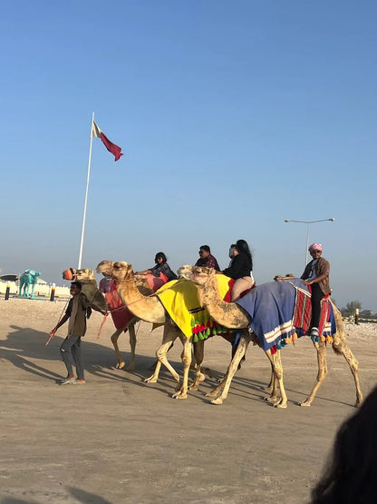 Doha: Full - Day Desert Safari with Dune Bashing and Lunch or Dinner
