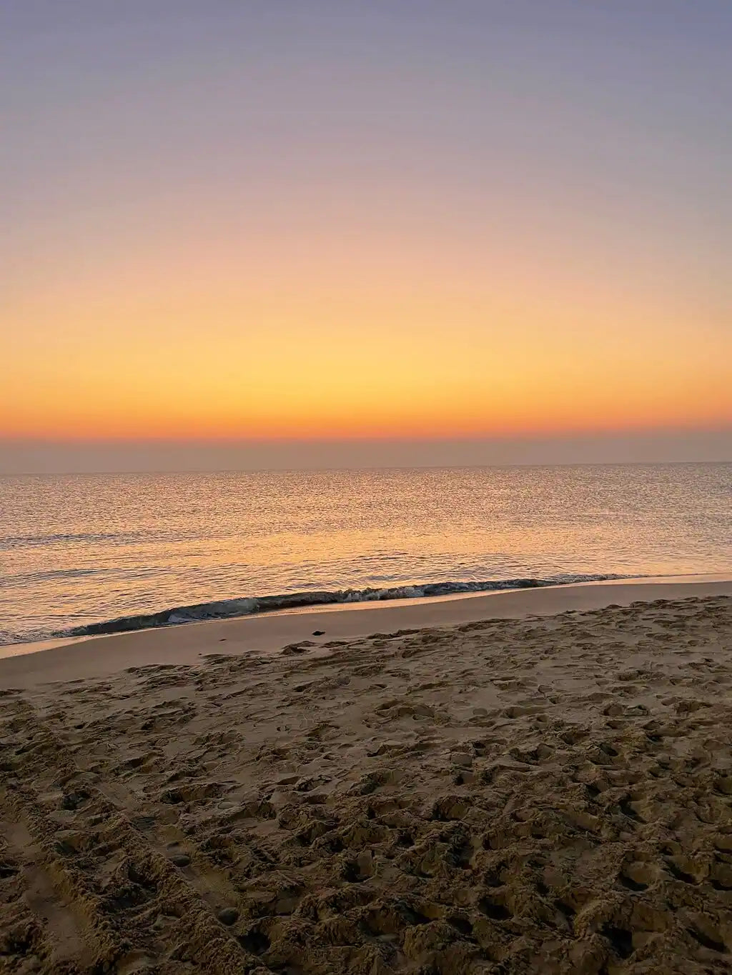 Doha: Full - Day Desert Safari with Dune Bashing and Lunch or Dinner