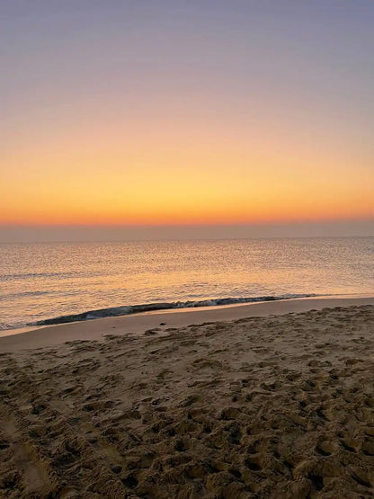 Doha: Full - Day Desert Safari with Dune Bashing and Lunch or Dinner