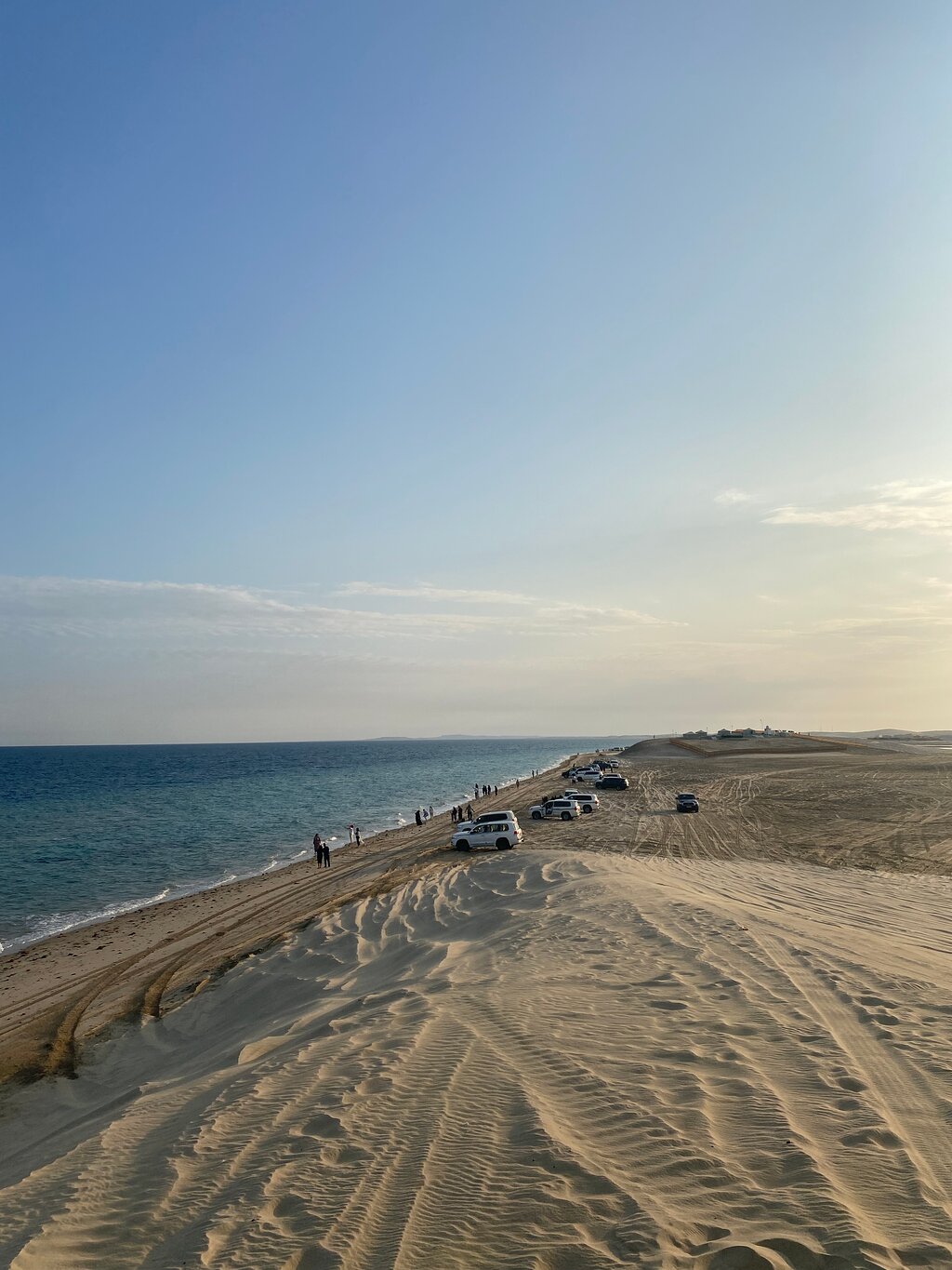 Doha: Full - Day Desert Safari with Dune Bashing and Lunch or Dinner