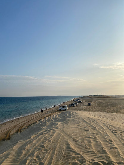 Doha: Full - Day Desert Safari with Dune Bashing and Lunch or Dinner