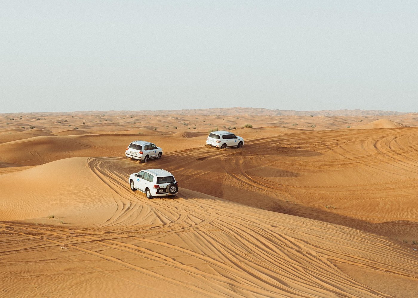 Doha: Full - Day Private Desert Safari with Camel Ride, Inland Sea and BBQ Dinner