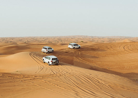 Doha: Full - Day Private Desert Safari with Camel Ride, Inland Sea and BBQ Dinner