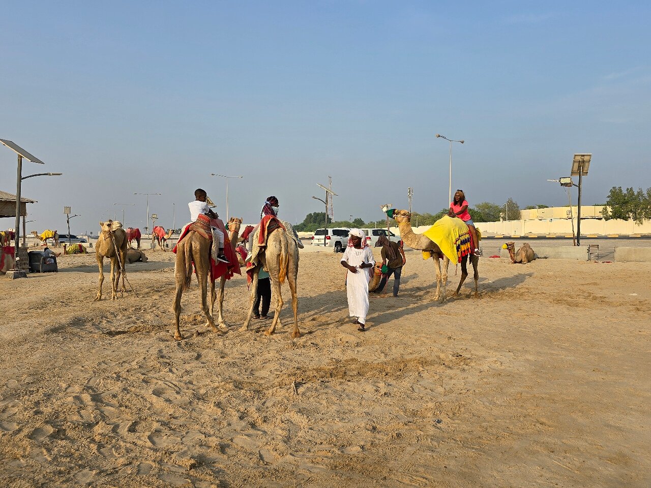 Doha: Full - Day Private Desert Safari with Camel Ride, Inland Sea and BBQ Dinner