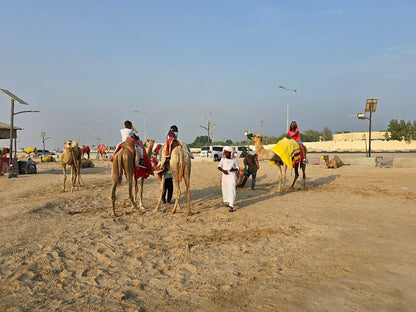 Doha: Full - Day Private Desert Safari with Camel Ride, Inland Sea and BBQ Dinner