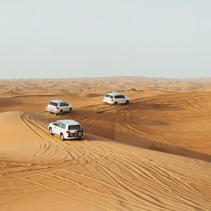 Doha: Full - Day Private Desert Safari with Lunch or Dinner