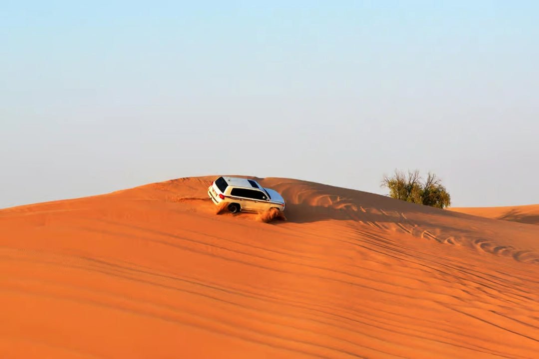 Doha: Full - Day Private Desert Safari with Lunch or Dinner