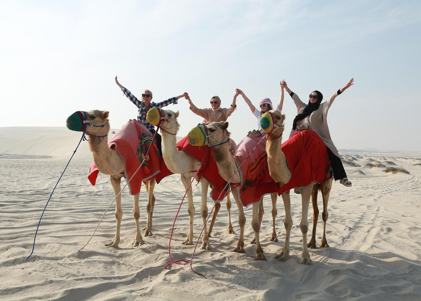 Doha: Half - Day Desert Safari and Inland Sea Guided Tour