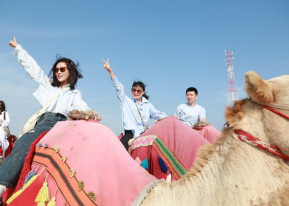 Doha: Half - Day Desert Safari and Inland Sea Guided Tour