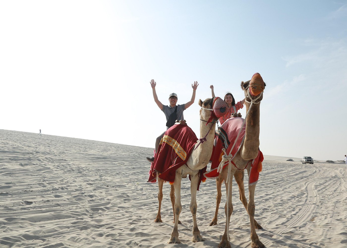 Doha: Half - Day Desert Safari and Inland Sea Guided Tour