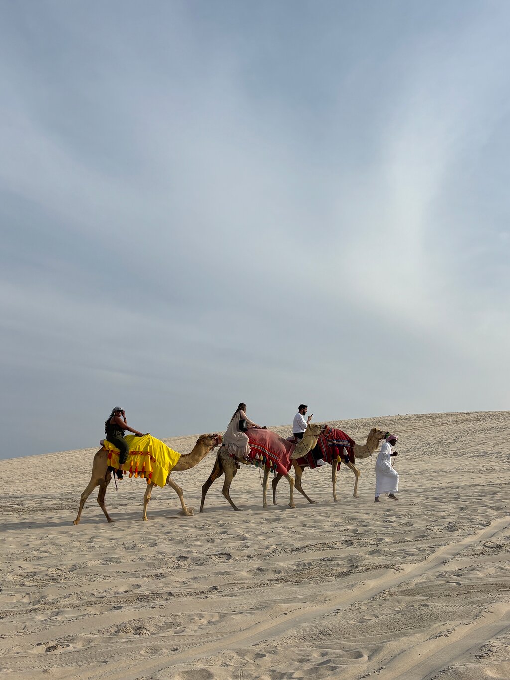 Doha: Half - Day Desert Safari and Inland Sea Guided Tour