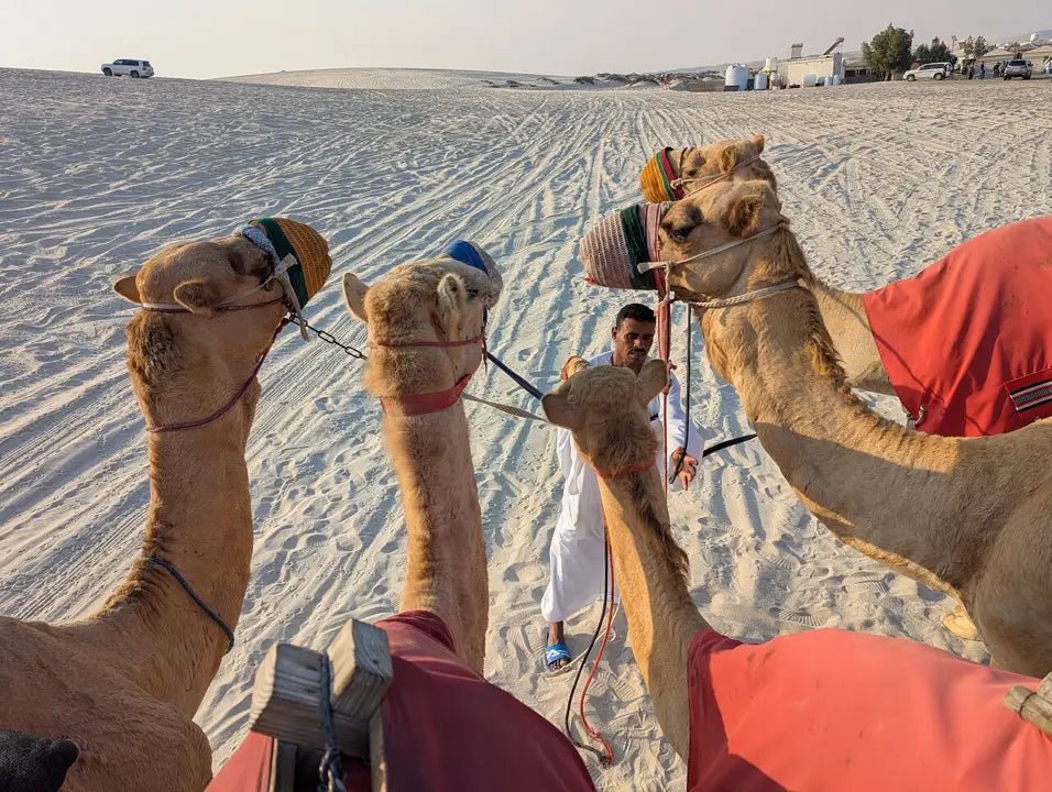 Doha: Half Day Desert Safari, Camel Riding, ATV and Sand Surfing