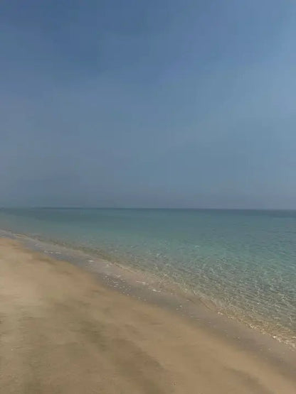 Doha: Half Day Desert Safari, Camel Riding, ATV and Sand Surfing
