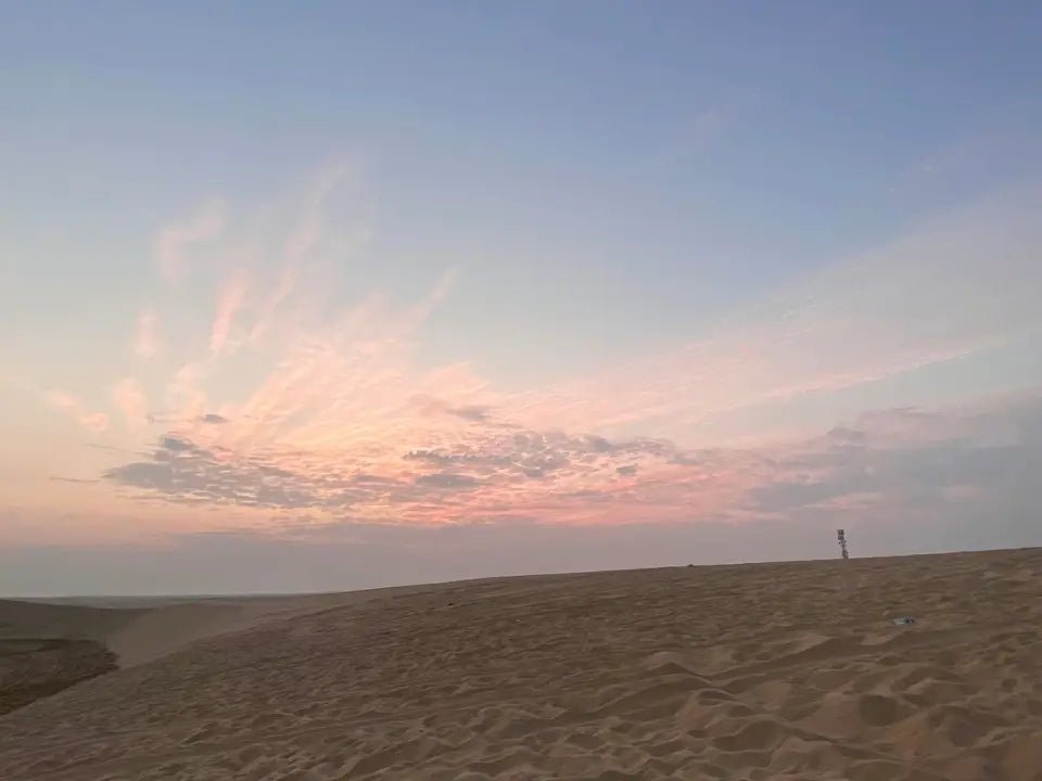 Doha: Half Day Desert Safari, Camel Riding, ATV and Sand Surfing