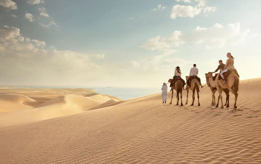 Doha: Half - Day Desert Safari, Dune Bashing and Inland Sea Guided Tour