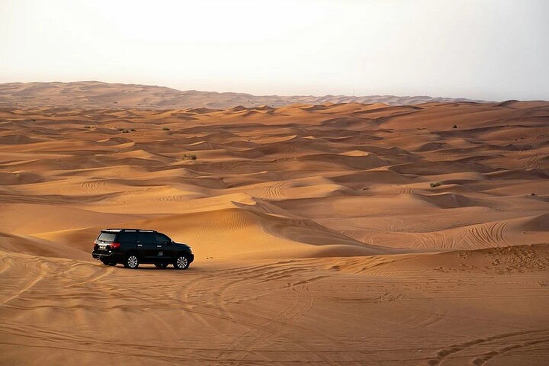 Doha: Half - Day Desert Safari, Dune Bashing and Inland Sea Guided Tour