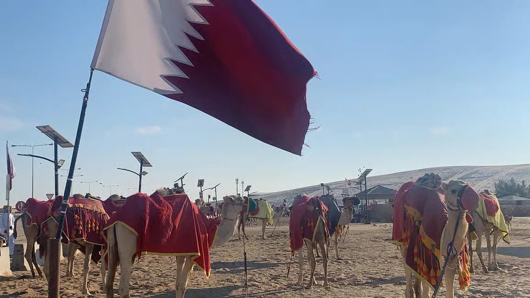 Doha: Half - Day Desert Safari, Dune Bashing and Inland Sea Guided Tour