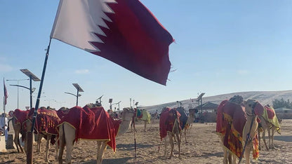 Doha: Half - Day Desert Safari, Dune Bashing and Inland Sea Guided Tour