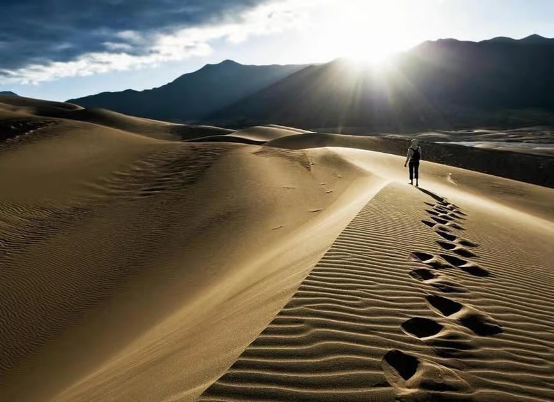 Doha: Half Day Desert Safari, Sandboarding and Inland Sea Guided Tour