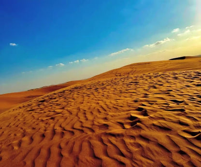 Doha: Half Day Desert Safari, Sandboarding and Inland Sea Guided Tour