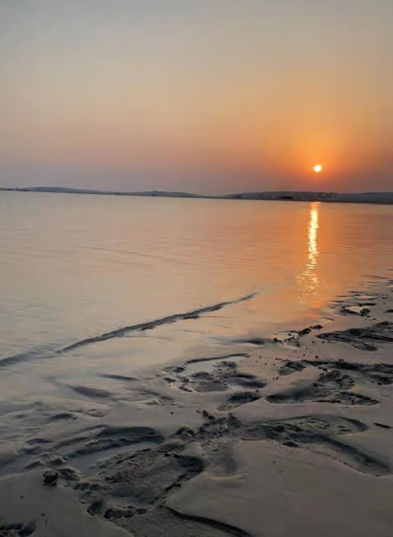 Doha: Half Day Desert Safari, Sandboarding and Inland Sea Guided Tour