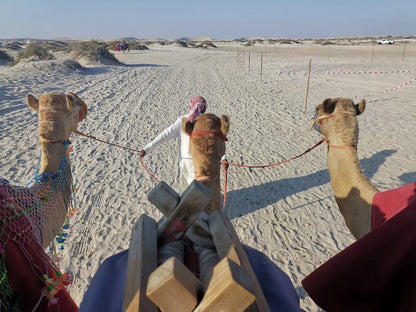 Doha: Half - Day Desert Safari with Dune Bashing and Camel Ride