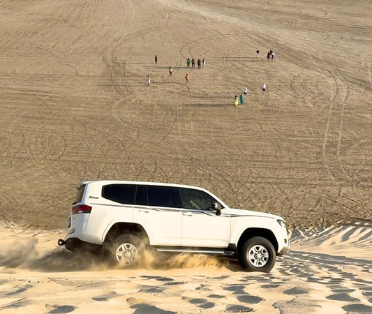 Doha: Half - Day Desert Safari with Dune Bashing and Camel Ride