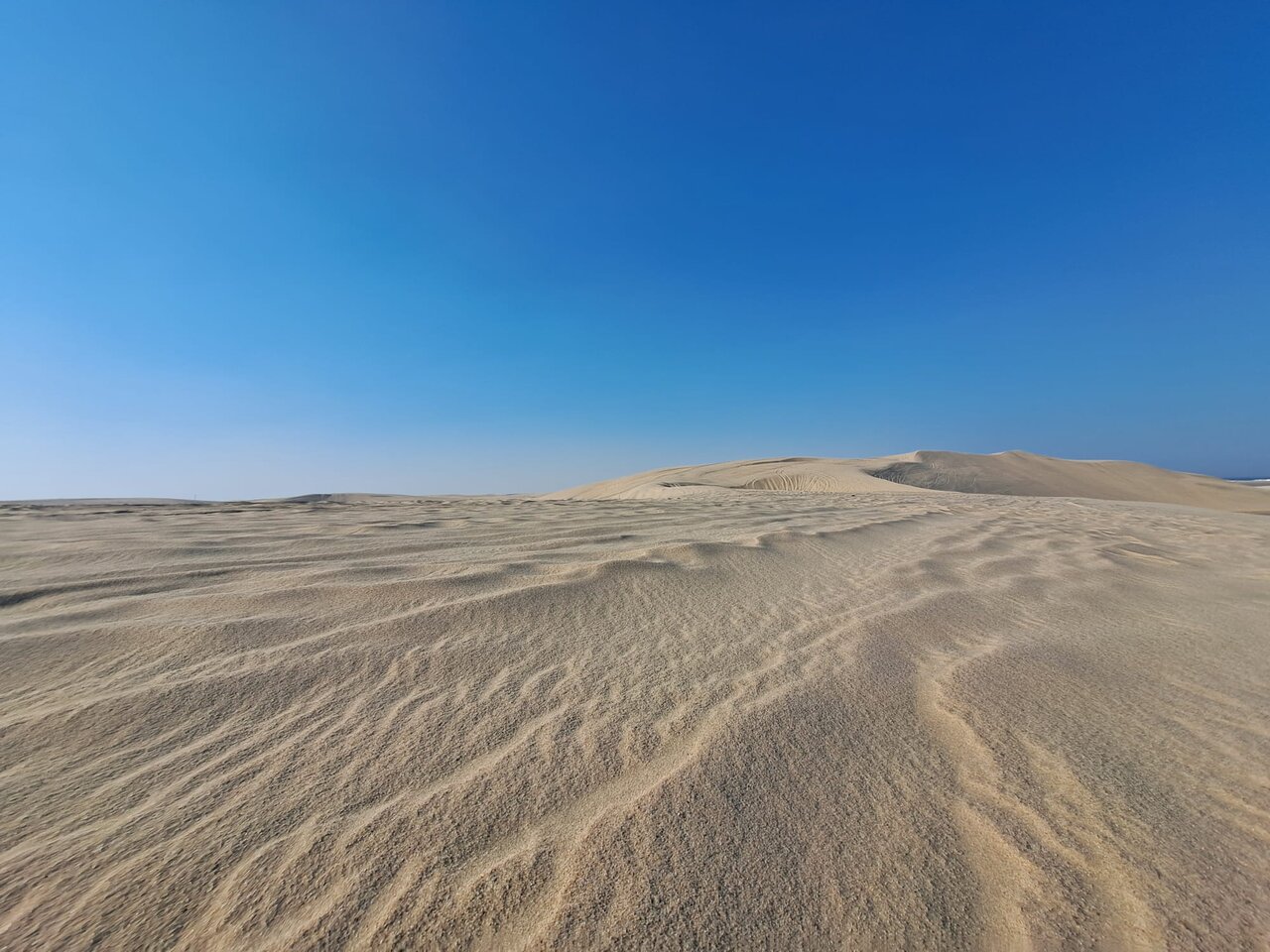 Doha: Half - Day Private Desert Safari with Camel Ride, Sandboarding and Inland Sea