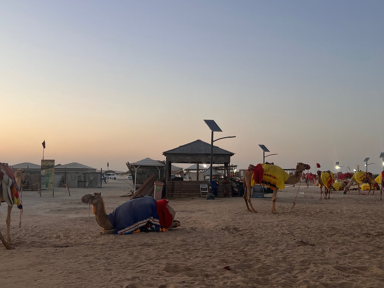 Doha: Half - Day Private Desert Safari with Camel Ride, Sandboarding and Inland Sea