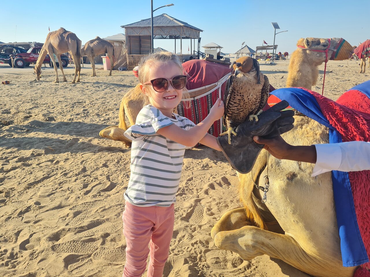 Doha: Half - Day Private Desert Safari with Camel Ride, Sandboarding and Inland Sea