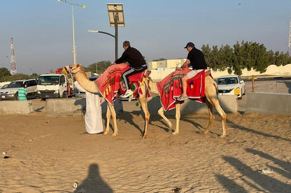 Doha: Half - Day Private Desert Safari with Camel Ride, Sandboarding and Inland Sea
