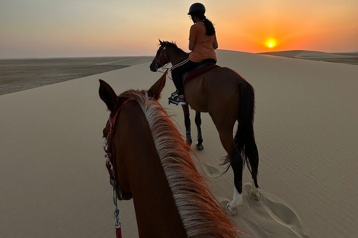 Doha: Horseback Riding Tour in Sealine Desert with Traditional Majlis Visit