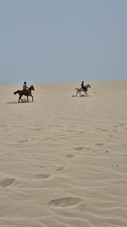 Doha: Horseback Riding Tour in Sealine Desert with Traditional Majlis Visit