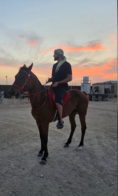 Doha: Horseback Riding Tour in Sealine Desert with Traditional Majlis Visit