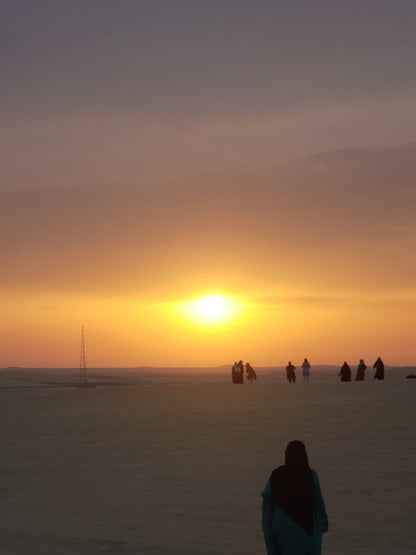 Doha: Horseback Riding Tour in Sealine Desert with Traditional Majlis Visit