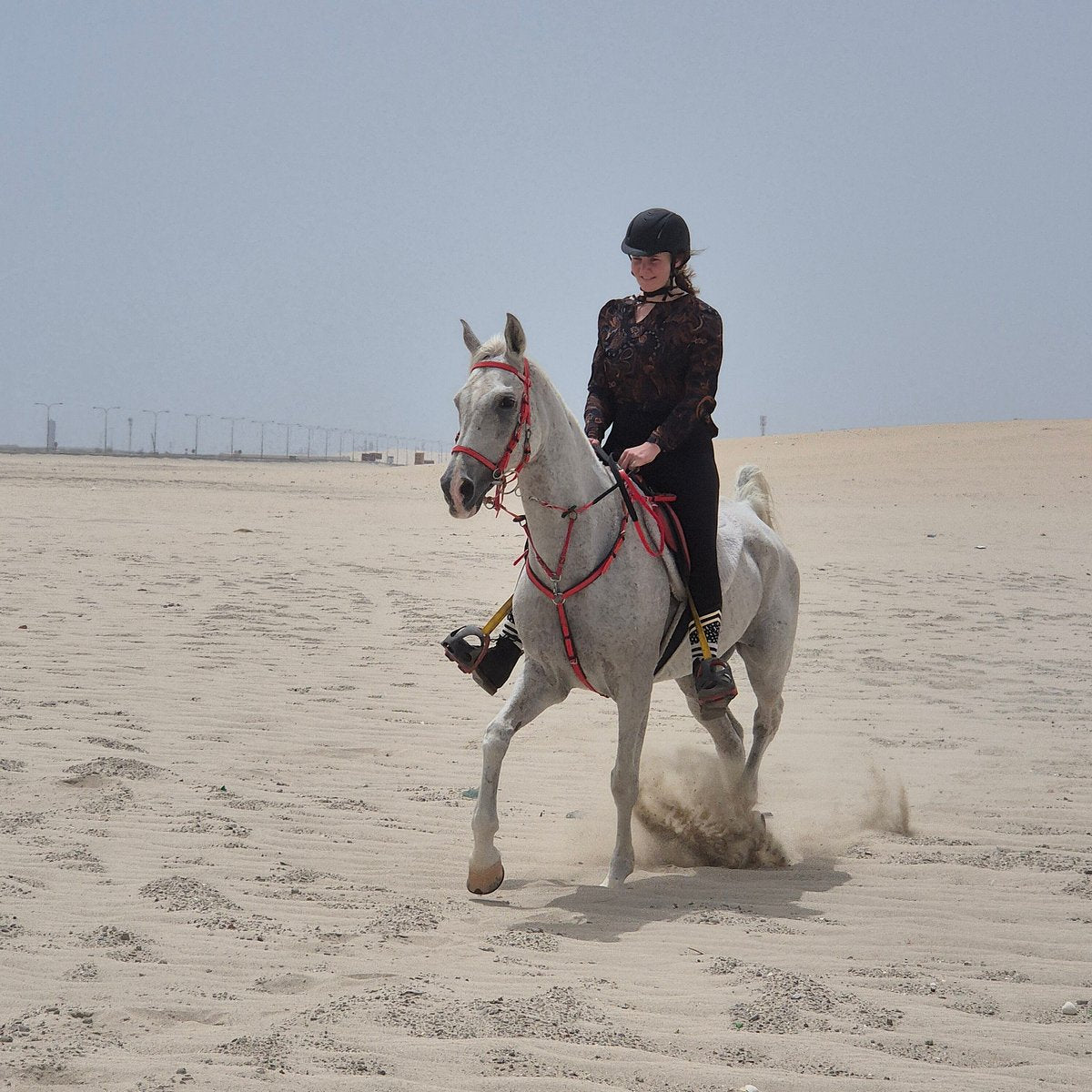 Doha: Horseback Riding Tour in Sealine Desert with Traditional Majlis Visit