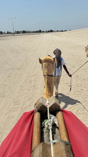 Doha: Inland Sea Desert Safari with Sandboarding and Camel Ride