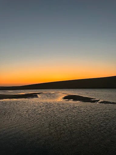 Doha: Inland Sea Visit and Desert Safari Tour