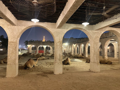 Doha: Night City Tour to Souq Waqif, Katara and The Pearl - Qatar