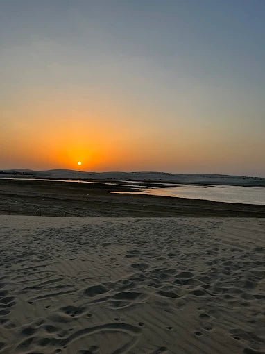 Doha: Night Desert Safari Under the Arabian Stars