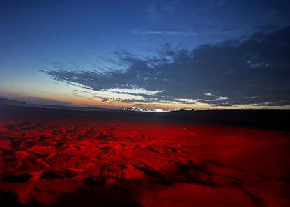 Doha: Night Desert Safari with Camel Ride, Dune Bashing, and Stargazing
