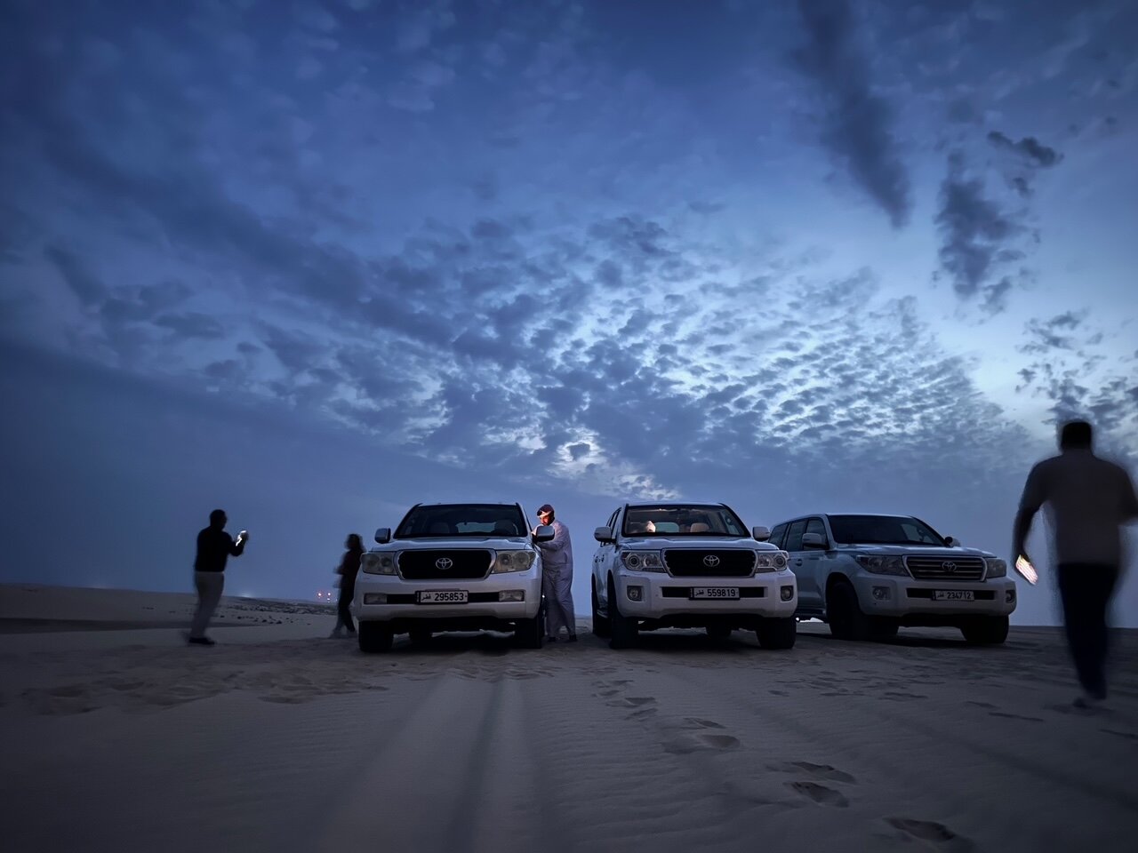 Doha: Night Desert Safari with Camel Ride, Dune Bashing, and Stargazing
