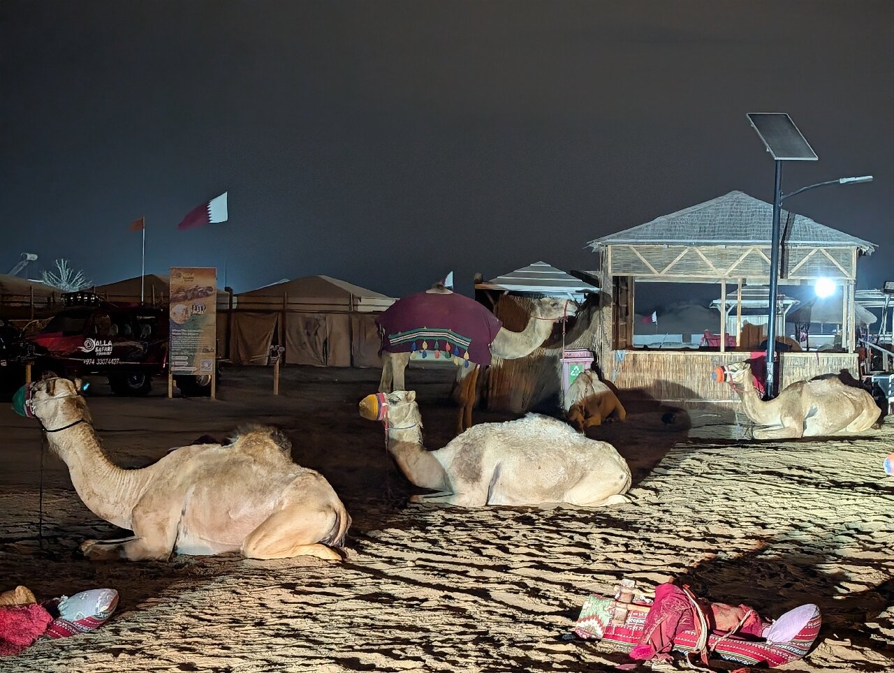 Doha: Night Desert Safari with Dune Bashing and Stargazing