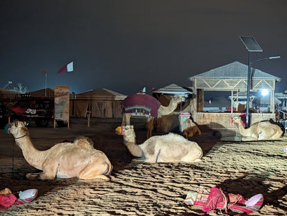 Doha: Night Desert Safari with Dune Bashing and Stargazing