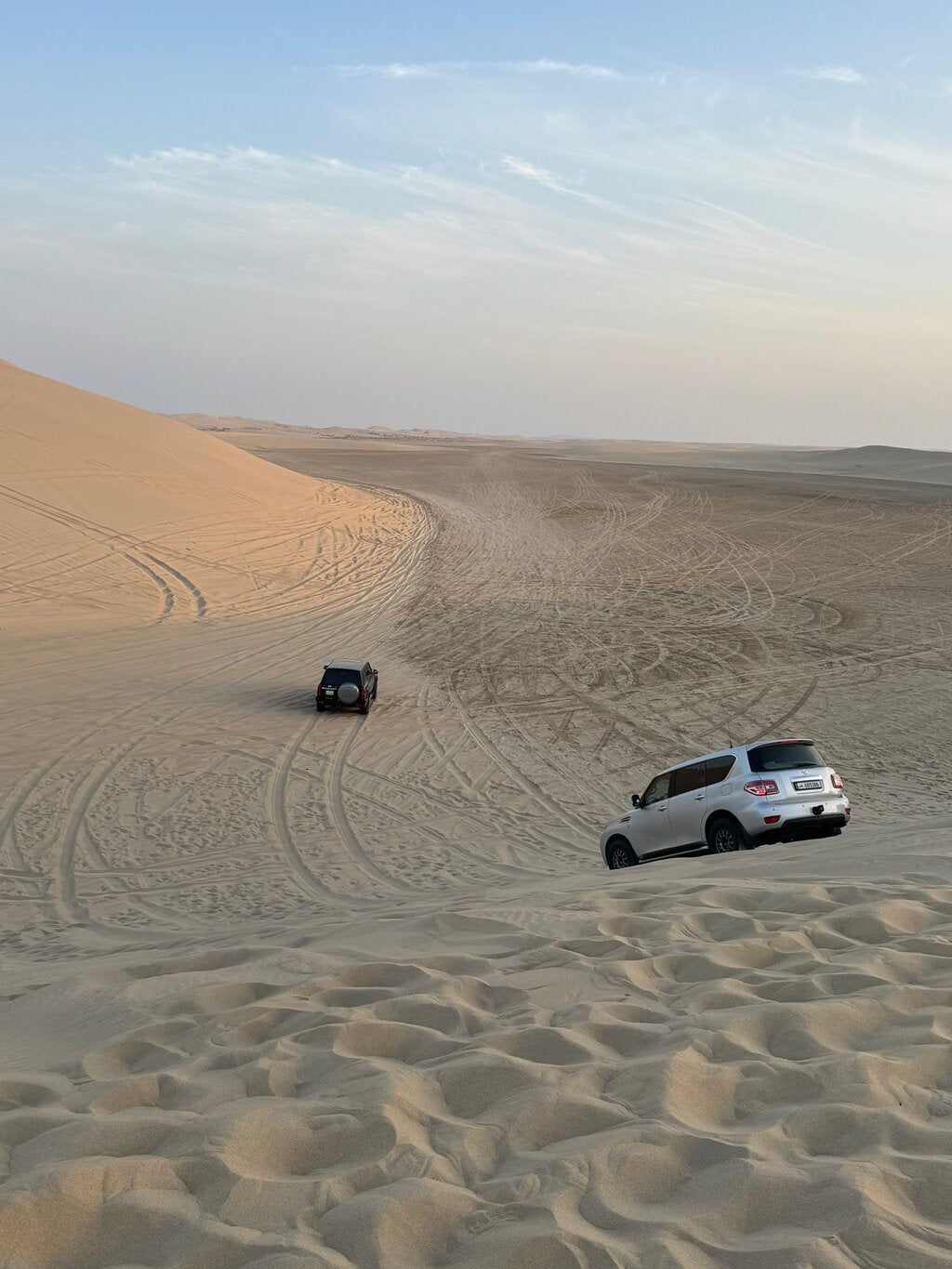 Doha: Night Desert Safari with Dune Bashing and Stargazing