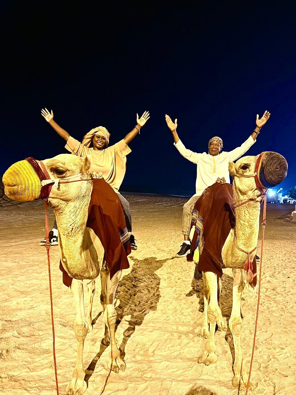 Doha: Night Desert Safari with Dune Bashing and Stargazing
