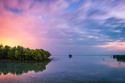 Doha: North of Qatar Tour to Al Zubara Fort, Al Khor, and Al Jumail Village